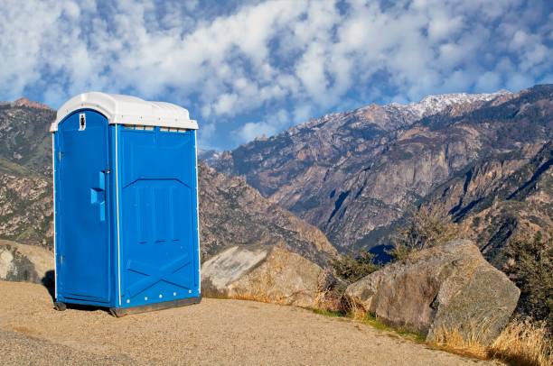 Best Sanitation services for porta potties  in Dewitt, IA