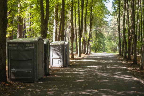 Best High-end porta potty rental  in Dewitt, IA